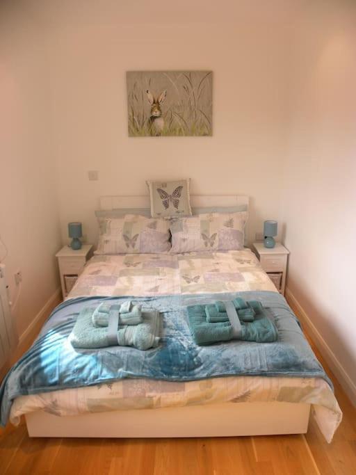 Oakey Orchard - Cosy Apartment In Tamar Valley, Cornwall Saint Dominick Zewnętrze zdjęcie